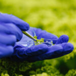 3 milióny eur na škálovanie biotechnológií v agropotravinárstve