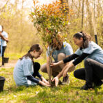 Sadíme budúcnosť podporí jesenné výsadby stromov po celom Slovensku